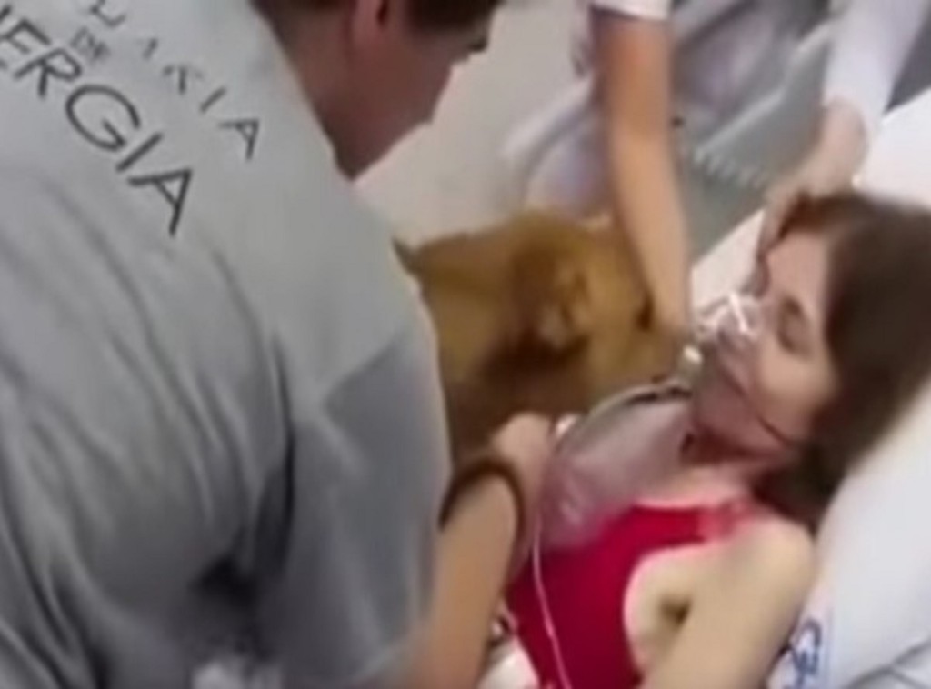 ef7ff662a06d839857c6865645a89eb8-600x336