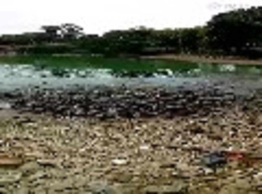 f2d2be99c4fa_thumb_7