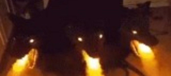 地獄の加湿器！