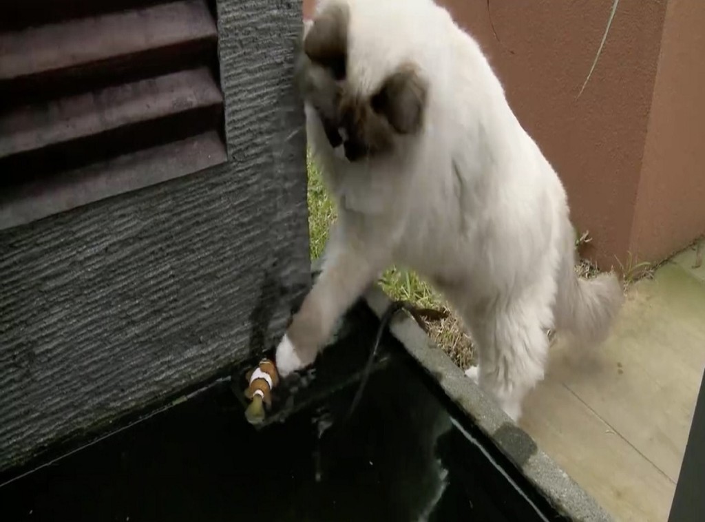 84025a0cc5b3c55b857b6e96bb1666ba