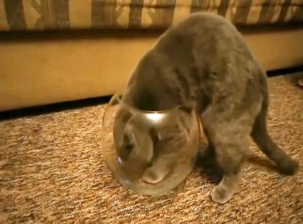 b12293c9038cd8b2e00b0d176528e6871