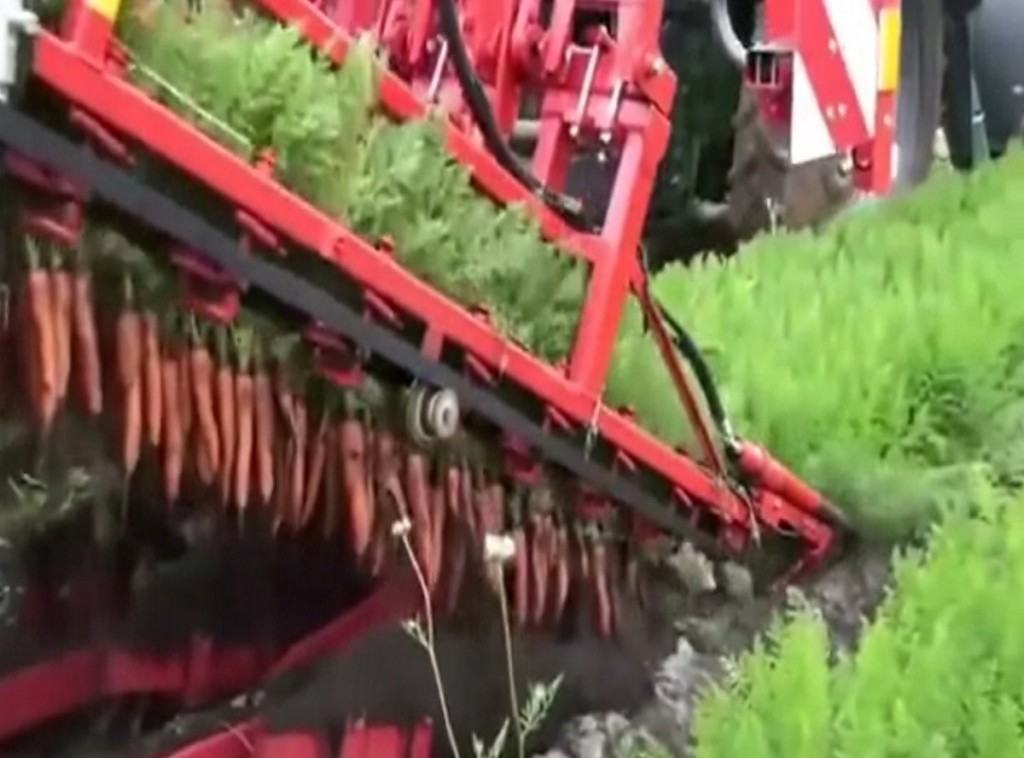 1ef52b50025f63f8434d518d10609c83