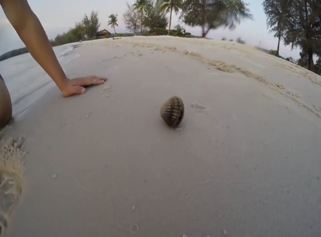 6904edc8c89cef56607d990f86c7066b-1024x637