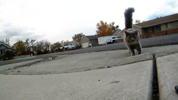 76ff82ca9b702254428f411b73498848-1-600x338