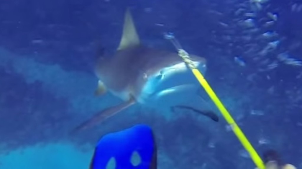 f120dee2d52f4e51091c4987e89ea31e