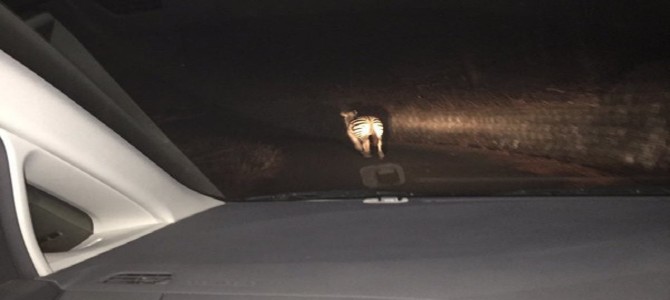 ドライブ中の女子高生の目にとまった衝撃の光景！