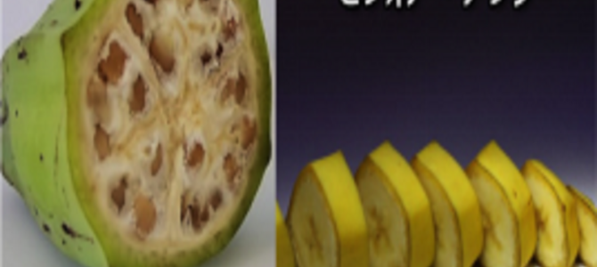 【劇的ビフォア・アフター】かつての果物や野菜と今のものを比較