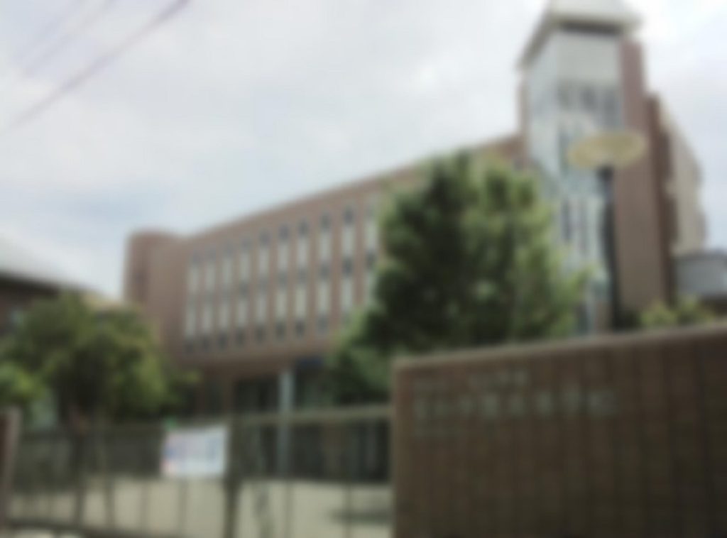 seiwa-highschool-seitekikoui-teiso-1