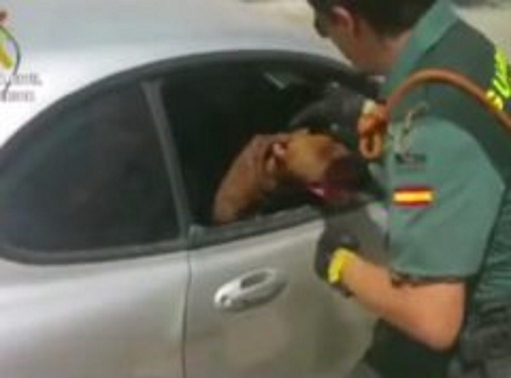 35985-featured-240x160