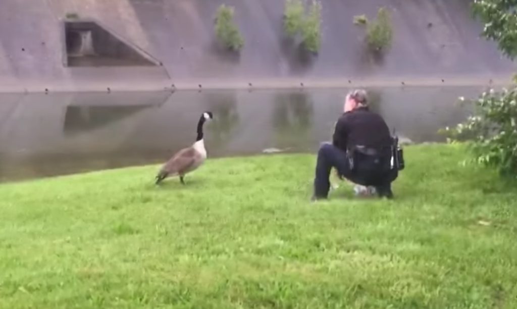 54072feac66e2f7cd3ffa978bc507487