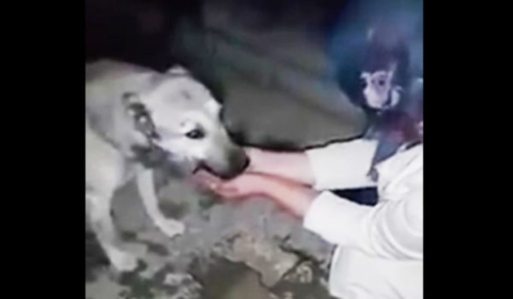 f22e25d8b99d31bbe5641154b9bf82f7-1-600x349