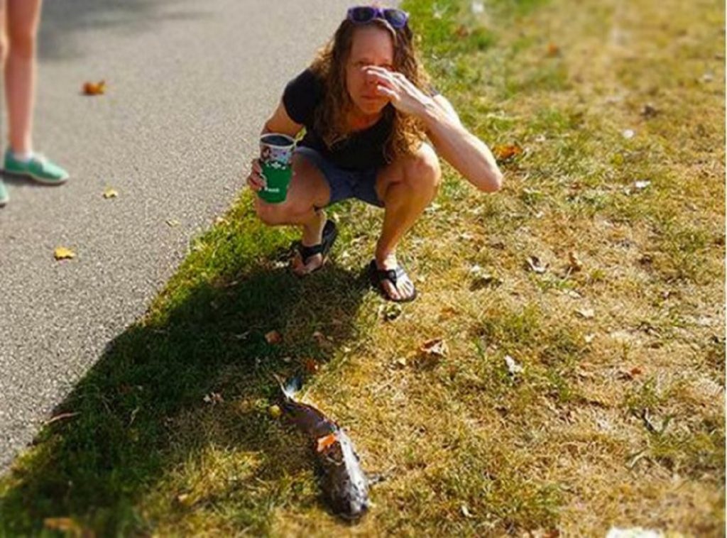 f2c3b258e9cd8ba16e18f319b3c88c66-640x451