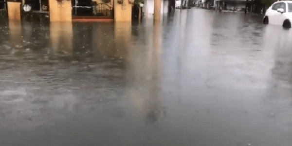 佐賀県佐賀市が大雨で冠水し、佐嘉神社から逃げた鯉が道路を泳いでいる！？
