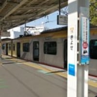 西武池袋線　石神井公園駅付近で線路立ち入り