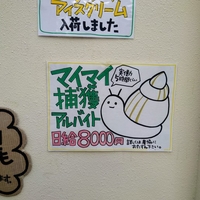 「小笠原諸島で日給8000円、実働5時間」アフリカマイマイの捕獲バイト