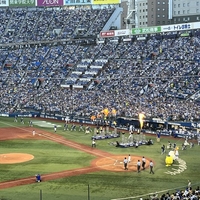 阪神ファンさん、早速京田に対して凄まじいブーイングを浴びせる