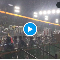 阿波踊り　台風7号接近下で強行開催