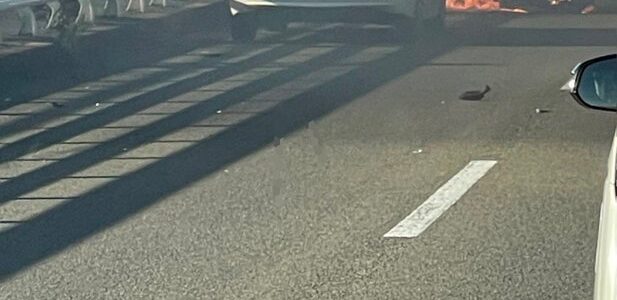 東京都日野市石田大橋付近で事故