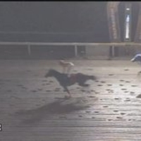 金沢競馬でレース中に停電!8R不成立、9R以降開催中止 金沢競馬でレース中に停電!8R不成立、9R以降開催中止