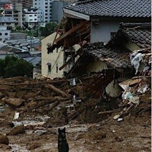 【緊急のお知らせ】私の友達からの呼びかけです!シェア願います。 【緊急のお知らせ】私の友達からの呼びかけです!シェア願います。