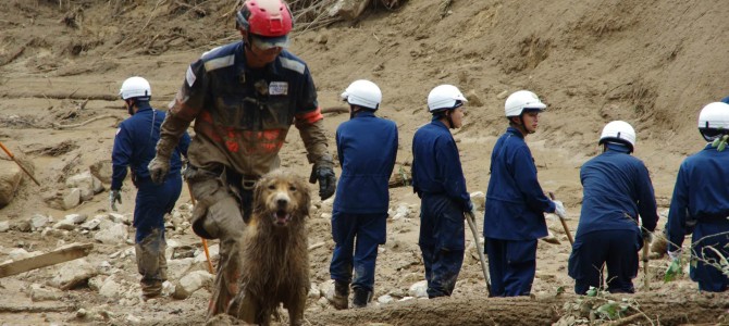 【広島土砂災害】傷つき泥にまみれながら・・・救助犬たちは活動を続ける。私たちに出来ることは…