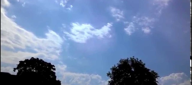 【衝撃映像】自分が雷に打たれる瞬間を本人が撮影していた! 【衝撃映像】自分が雷に打たれる瞬間を本人が撮影していた!