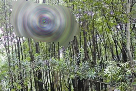 【画像】こんなことありえるの？　中国で起きた『アクロバティック事故』