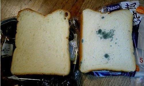 【カビないパン】山崎パン→食品添加物はとても危険！！