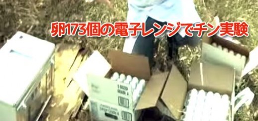 【 衝撃動画 】　卵173個を電子レンジでチンすると？？