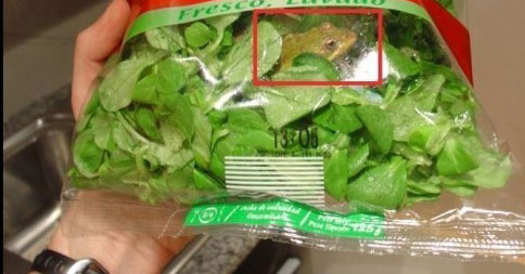 海外で起きた食品の異物混入事件！！