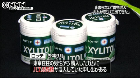 ついにロッテのガムにもハエの死骸が混入!? ついにロッテのガムにもハエの死骸が混入!?