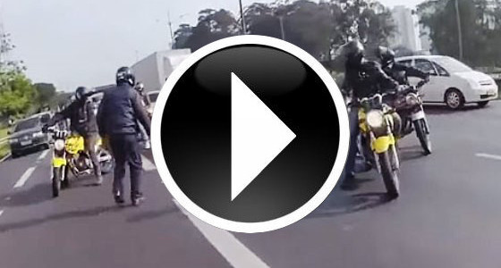 決死の救出劇。高速道路に迷い込んだ犬を救った心優しいバイク乗り達に感動！