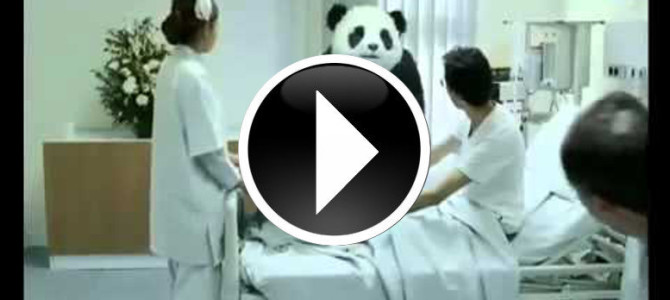 面白CM パンダ チーズ 面白CM パンダ チーズ