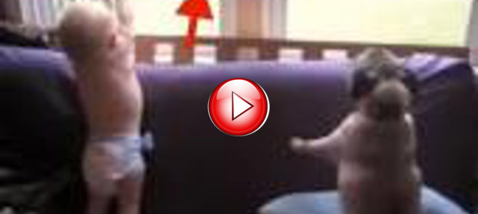 パパの帰宅が嬉しすぎて大はしゃぎの赤ちゃん＆ワンコ！