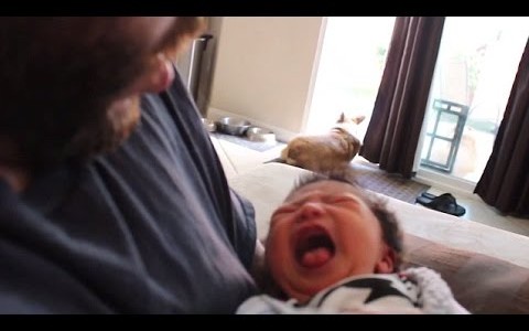 「コーホーコーホー」ダースベイダーの真似すると泣き止む赤ちゃん