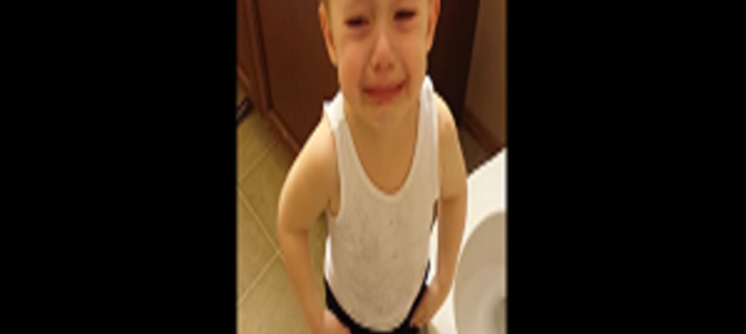 少年は大好きだった金魚を自ら弔い、大切なものを失う悲しみを知った。