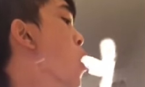 タバコの煙で生まれた、“海の生物”とは？