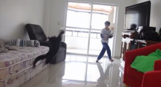 猫が天才ゴールキーパーだった！！！