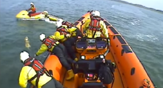 沖に流されたワンちゃん、一生懸命泳いでいるところを救助される！！