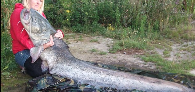 おもちゃみたいなつり竿でビックサイズのブラックバスを釣り上げた女の子ww