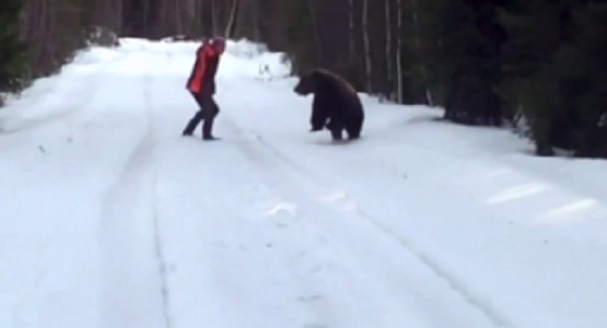 ヒグマに襲われそうになった男性が「叫び声」で撃退！！