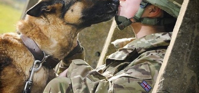 戦場で動物にいやされる兵士たち。その笑顔がやけにまぶしい…