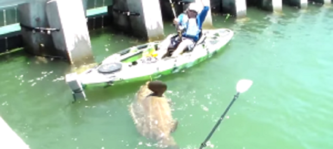 カヌーで釣りをしていたら化け物級の巨大魚が釣れた！！