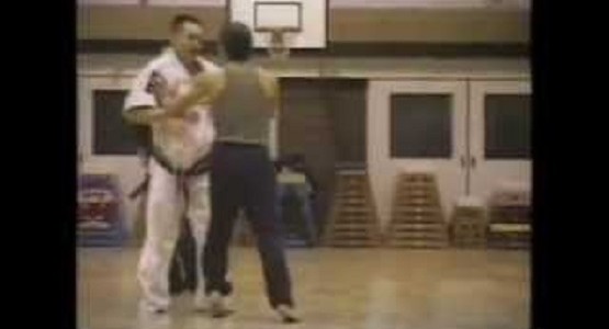 負け知らずのケンカ屋が、交通トラブルで格闘家の師範に喧嘩を売って他流試合に！