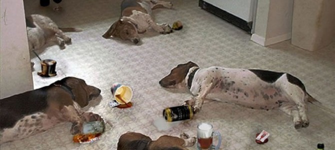 飲み過ぎた感がスゴイ動物たち！！