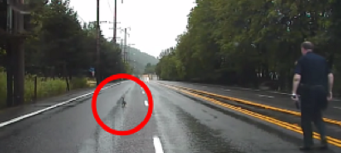 猛スピードで違反車を追跡中のパトカーが、突然追跡を中止した理由に賞賛の嵐！