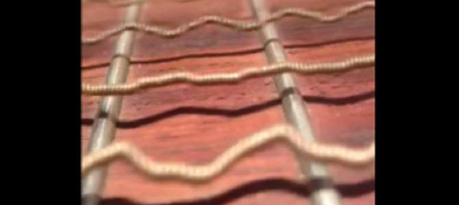 生き物みたい！ギターが弦を震わせて音を奏でる瞬間を捉えた映像がスゴイ！！