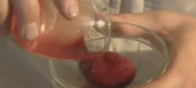 蛇の毒ヤバすぎ。人間の血液と混ぜてみた結果、大変なことに！！