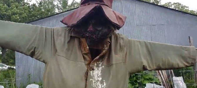 恐ろしい見た目のカカシが守っていたものとは？