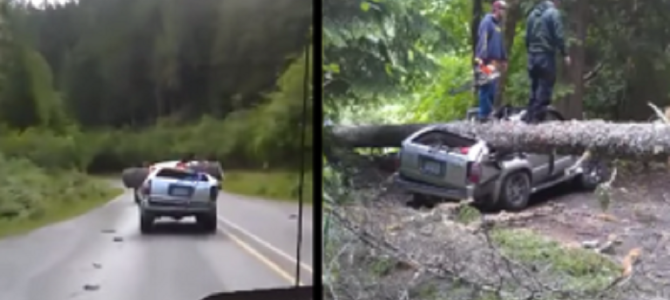 木が倒れてきて大破したトヨタ車。それでもたくましく走る姿に外国人絶賛！！